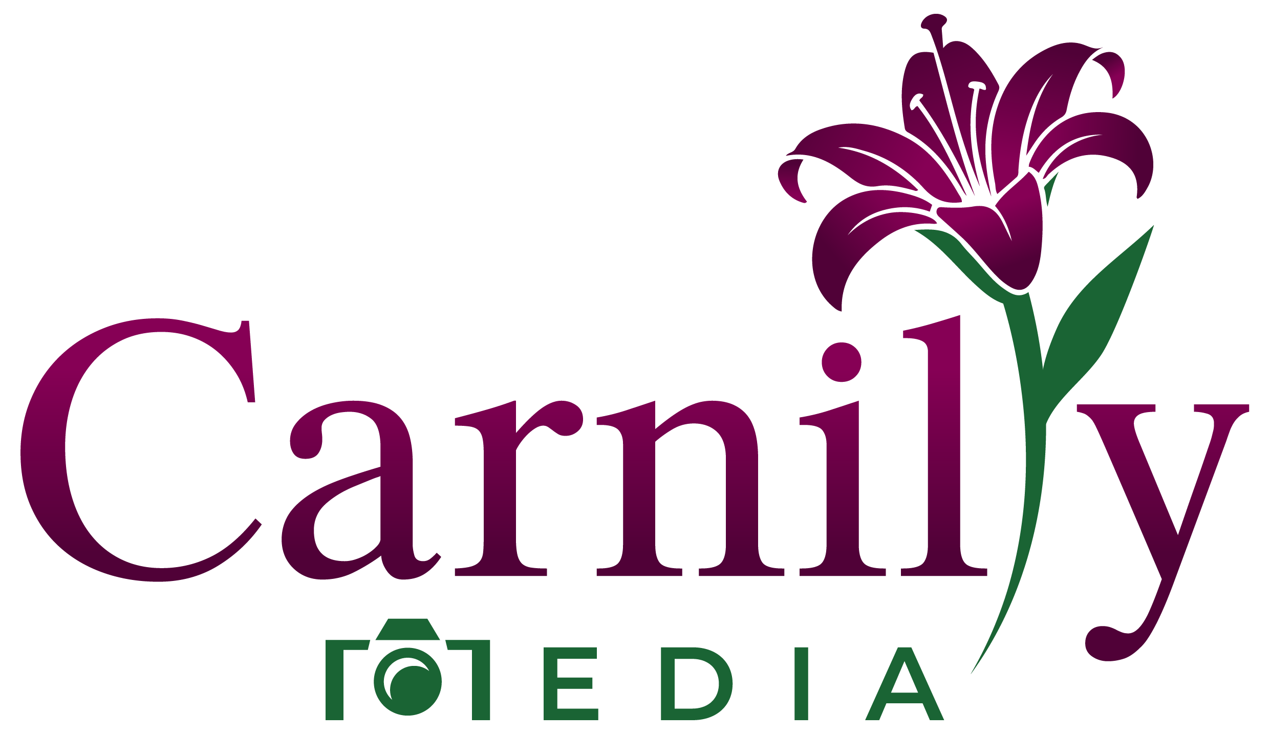Carnilly Media